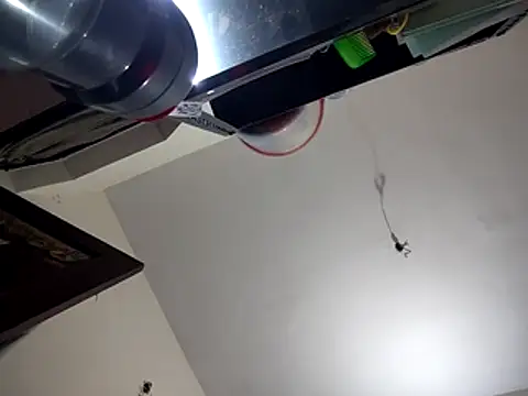 bigvorn6 online show from March 29, 2026, 6:24 am