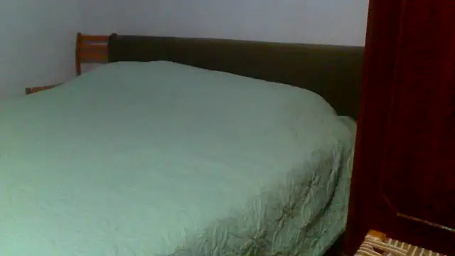 petan33 online show from September 11, 2025, 6:41 pm