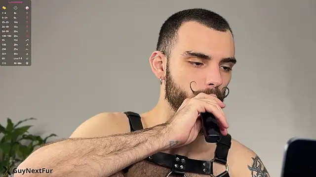 xteddy bear online show from December 13, 2025, 8:36 pm