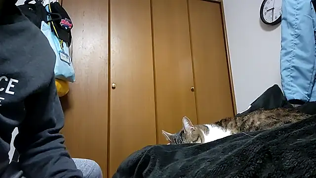 07YUKIO online show from April 4, 2026, 12:35 pm