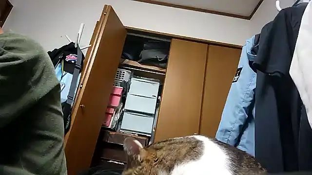 07YUKIO online show from April 13, 2026, 12:10 pm