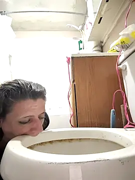 Snapshot of UniqueKorn86 chatting on February 12, 2026, 2:17 am UniqueKorn86 online show from February 12, 2026, 2:17 am