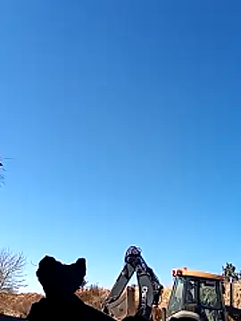 luke thighwalker2469 online show from December 9, 2024, 7:18 pm