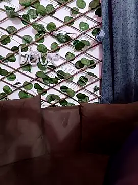 Bold-Cat online show from February 7, 2025, 6:02 pm