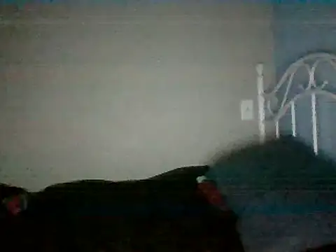 SmokingSloth online show from March 16, 2025, 5:14 am