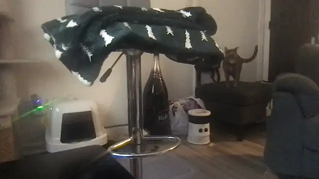 SpunCandy online show from March 20, 2026, 8:25 pm