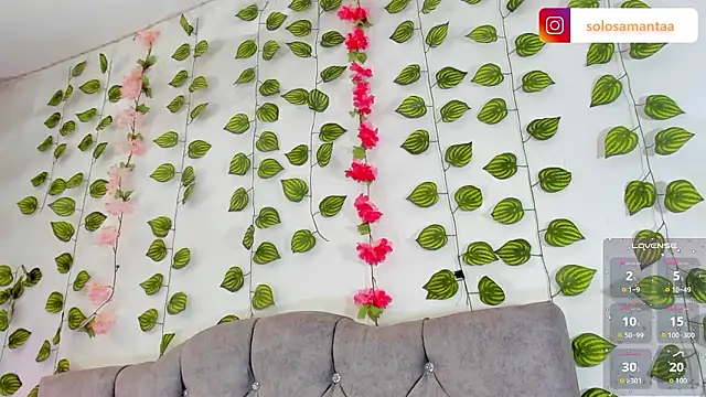 Charlie Williams online show from February 22, 2026, 8:29 pm