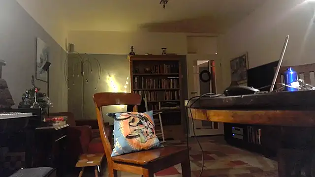 Snapshot of RolfS chatting on December 17, 2025, 11:33 pm RolfS online show from December 17, 2025, 11:33 pm