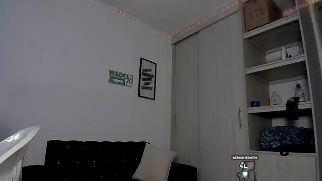 Snapshot of _diegsz_ chatting on February 7, 2025, 5:07 pm diegsz online show from February 7, 2025, 5:07 pm