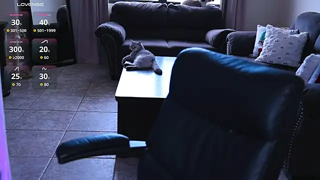 Naughty-Kitty1 online show from July 7, 2026, 6:23 pm