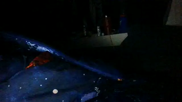 Snapshot of toast843 chatting on February 9, 2025, 6:22 am toast843 online show from February 9, 2025, 6:22 am