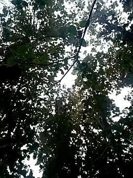 Snapshot of Fucker_boy_1 chatting on January 19, 2025, 3:50 am Fucker boy 1 online show from January 19, 2025, 3:50 am