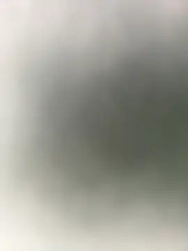 Snapshot of mrwright878787 chatting on January 4, 2025, 12:37 am mrwright878787 online show from January 4, 2025, 12:37 am