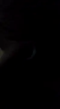 Snapshot of TattMan13 chatting on January 17, 2025, 10:34 pm TattMan13 online show from January 17, 2025, 10:34 pm