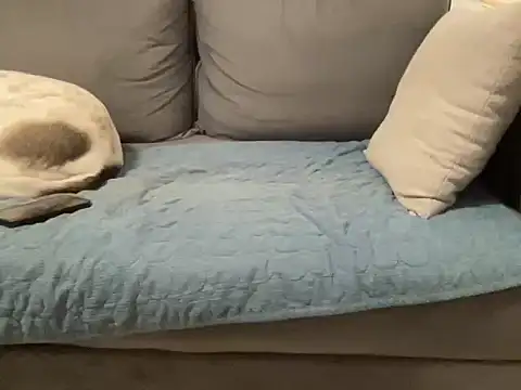 4small4inchlol online show from February 20, 2026, 11:49 pm