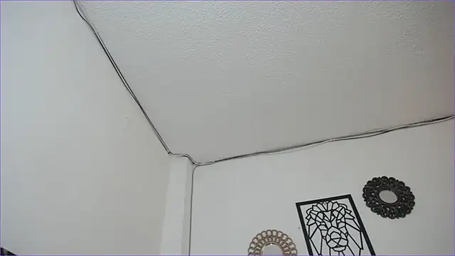 paytonbailey online show from March 4, 2025, 5:03 pm