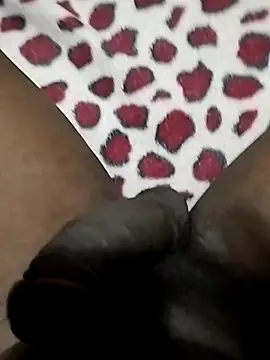 Pua009 online show from February 26, 2026, 10:20 pm