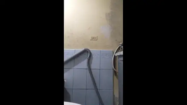 Dmoa34 online show from January 13, 2026, 3:56 am