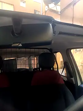 Snapshot of Porco81cazzo chatting on November 29, 2025, 8:50 am Porco81cazzo online show from November 29, 2025, 8:50 am