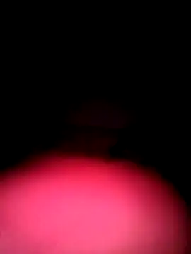 Porco81cazzo online show from December 4, 2025, 3:38 am