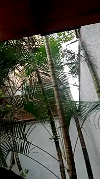 helen kinett online show from December 27, 2024, 10:16 pm