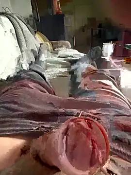 Andy-370 online show from September 21, 2025, 11:56 am