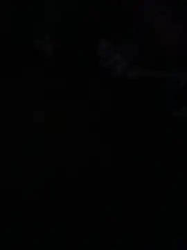 avans 15 online show from May 14, 2026, 12:06 am