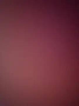 bustybillies online show from April 3, 2026, 4:54 am