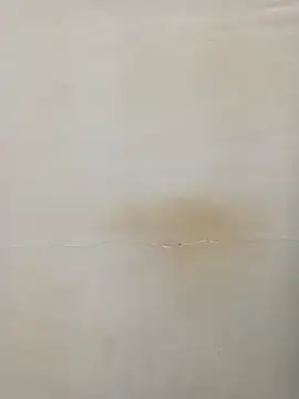 Snapshot of Rina777o chatting on March 7, 2025, 6:11 pm Rina777o online show from March 7, 2025, 6:11 pm