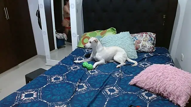 amazonafit  online show from February 15, 2025, 4:14 am