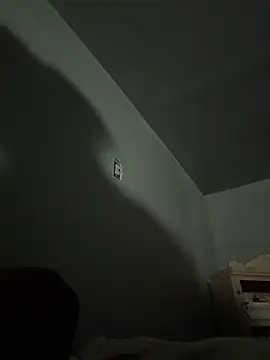 Snapshot of SluttyLyfe4L chatting on April 6, 2026, 12:17 pm SluttyLyfe4L online show from April 6, 2026, 12:17 pm