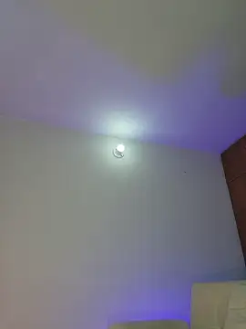 mich bittersweet online show from April 11, 2026, 11:31 pm