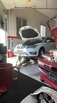 Snapshot of donnuozfutura chatting on February 13, 2025, 2:20 pm donnuozfutura online show from February 13, 2025, 2:20 pm