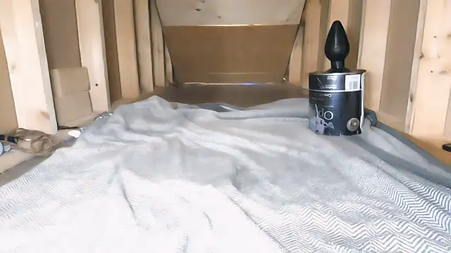 cbtbetaloser online show from November 8, 2025, 4:56 am