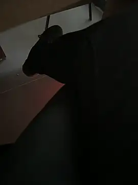 Snapshot of homidor chatting on December 20, 2024, 2:16 pm homidor online show from December 20, 2024, 2:16 pm