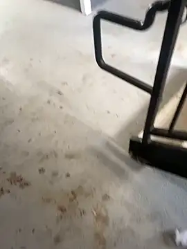 Snapshot of zeekBbc chatting on February 26, 2026, 9:25 pm zeekBbc online show from February 26, 2026, 9:25 pm