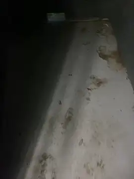 Snapshot of zeekBbc chatting on April 5, 2026, 12:41 am zeekBbc online show from April 5, 2026, 12:41 am