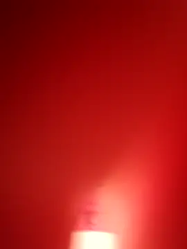 Snapshot of branquinho000007 chatting on November 12, 2025, 4:40 pm branquinho000007 online show from November 12, 2025, 4:40 pm