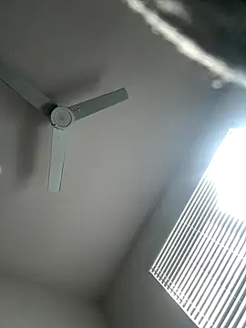 PointingPetrol online show from January 5, 2026, 6:55 pm