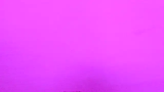 Habibi big b online show from November 16, 2025, 11:49 am