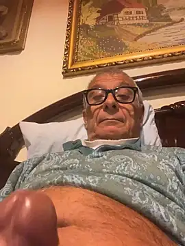 4n4l1zz4m1 online show from November 1, 2025, 4:47 am