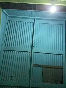 islandvybee55 online show from February 5, 2026, 3:55 am