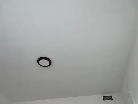 shandiloveslemonss online show from October 11, 2025, 4:49 pm