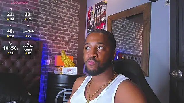 Drake Nassir4 online show from January 13, 2025, 8:26 pm