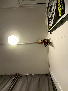 Snapshot of wolfwhite95 chatting on November 14, 2025, 11:57 pm wolfwhite95 online show from November 14, 2025, 11:57 pm