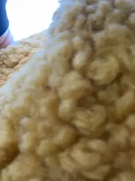 moneymaker taipei online show from February 25, 2026, 7:29 am