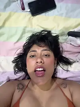 pawmistry online show from February 5, 2026, 5:23 am