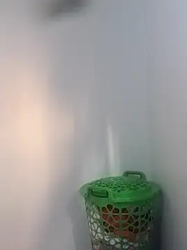 BriannaVincent online show from February 5, 2026, 4:39 am