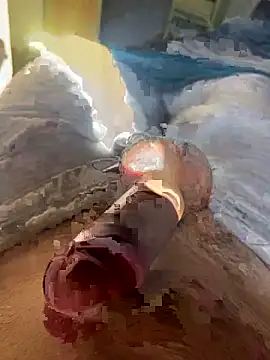 toto36643 online show from February 23, 2026, 10:23 am