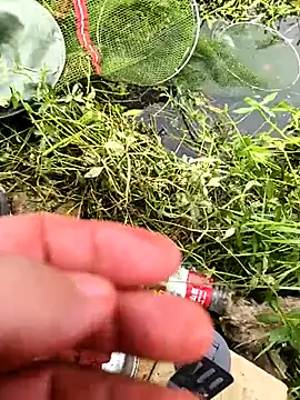 huzi518 online show from October 25, 2025, 3:36 am